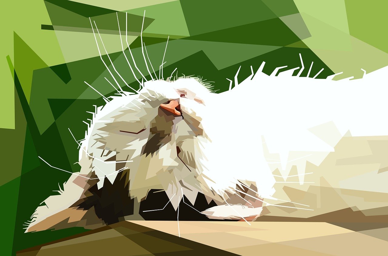 枫卡伦新动态,引领时尚潮流,展现独特魅力风采