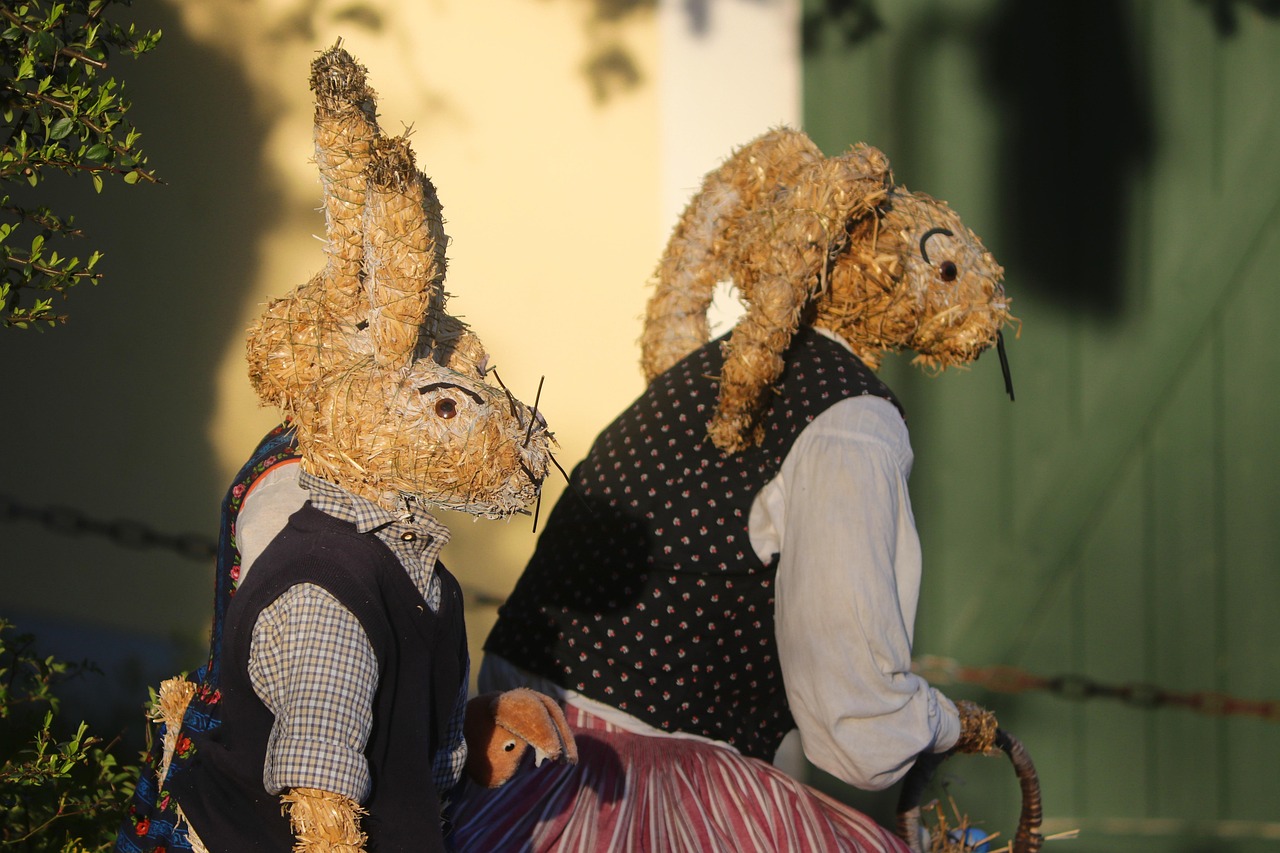 超越缺陷,兔子电影中的勇敢之旅——没有耳朵的兔子