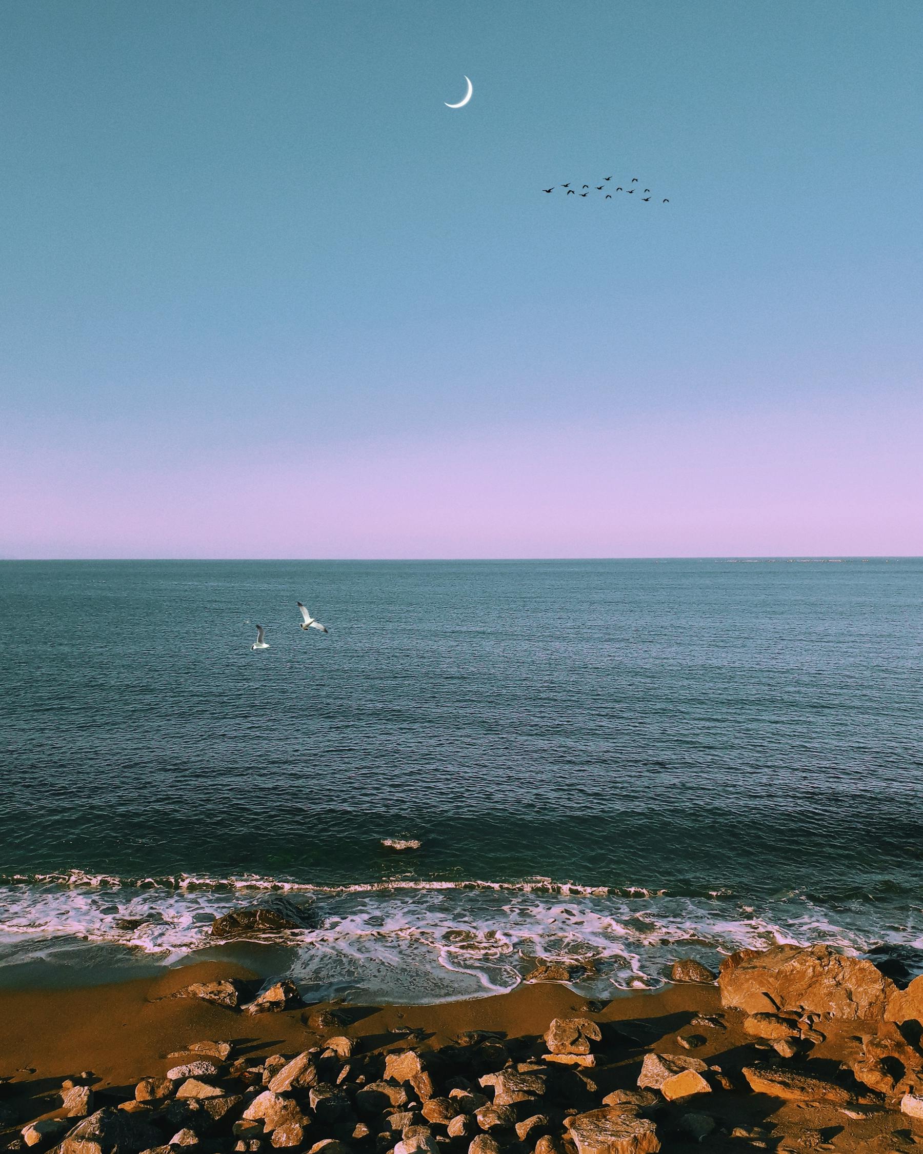 大同南海馨居最新动态,城市发展的璀璨明珠