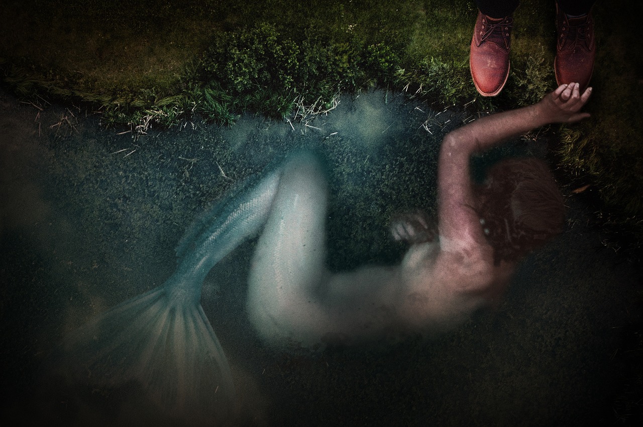 明星美背的时尚魅力与秘密展现