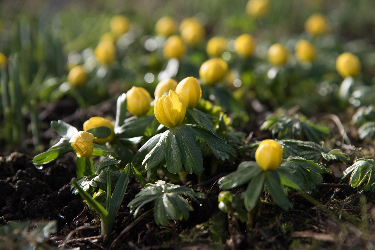 白城徐建军最新动态,引领新时代的步伐前进中