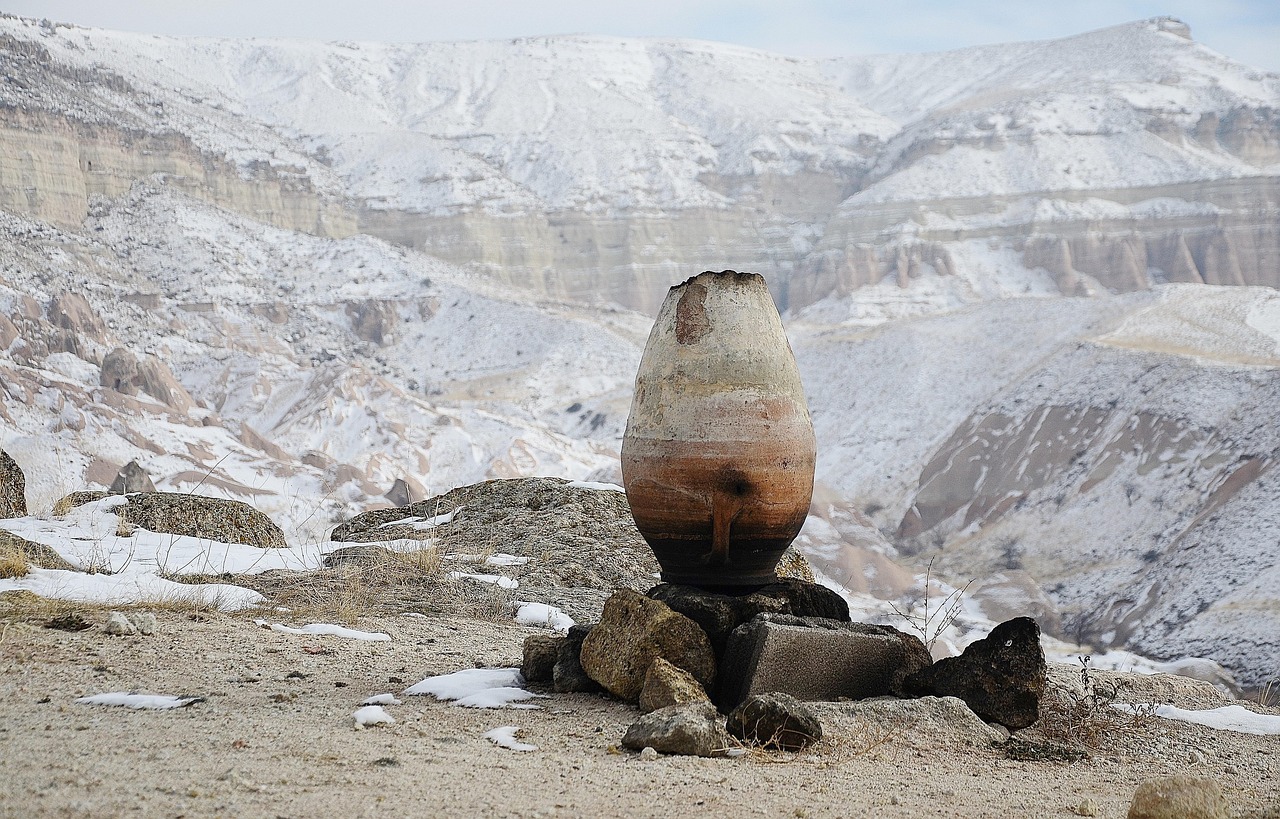 乌市最新资讯,探索发展动态与趋势