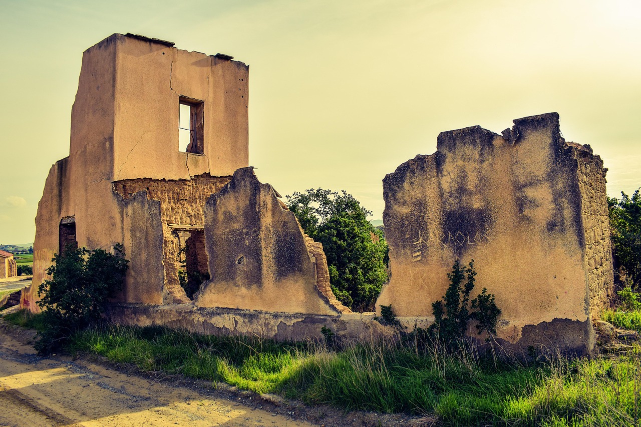 青岛油价调整最新动态,市场反应及未来展望揭秘