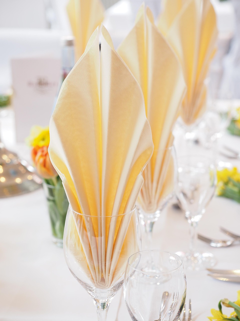 数字时代的视觉盛宴,动态图与动漫的完美结合