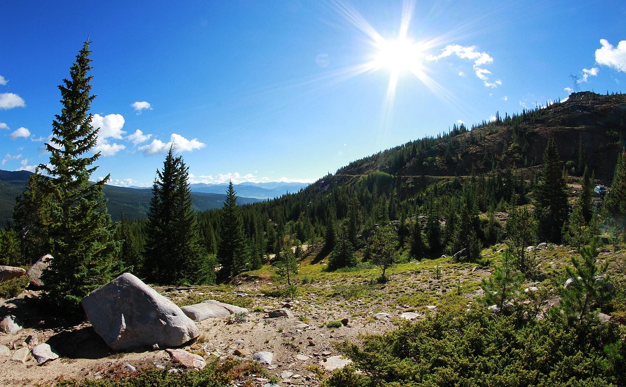 牟平最新招聘信息及其就业市场分析与动态更新