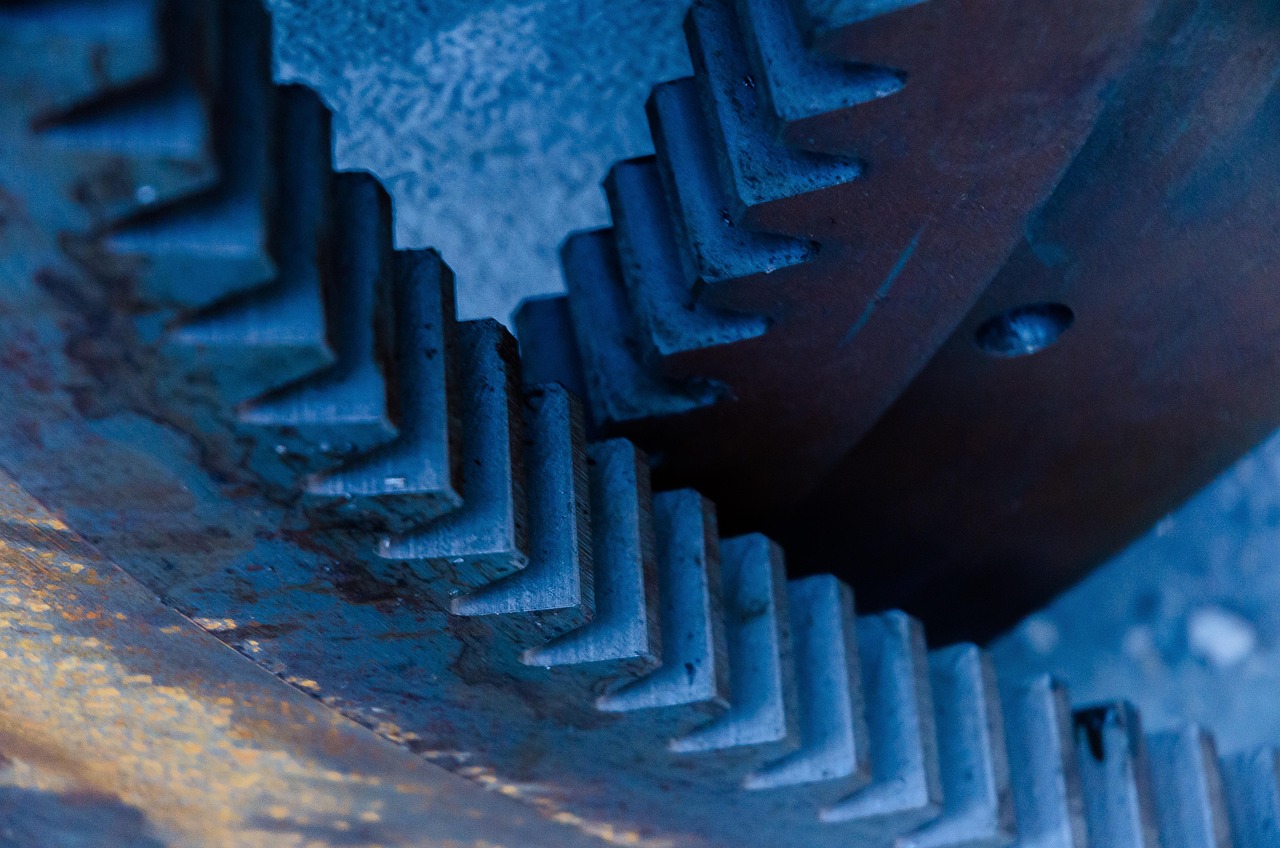 肉农资讯,行业洞察与趋势深度解析