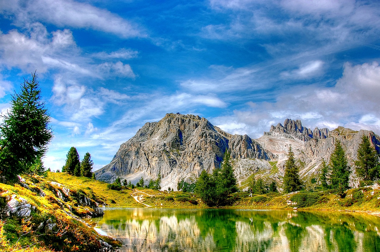 板芙镇最新租房资讯详解,房源、价格与市场动态全解析