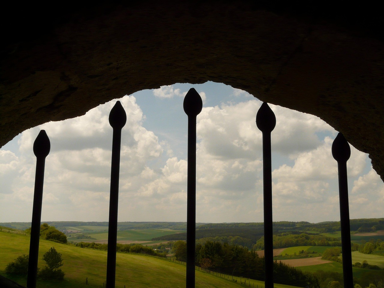 酒股最新动态,市场趋势、企业策略与行业前景展望