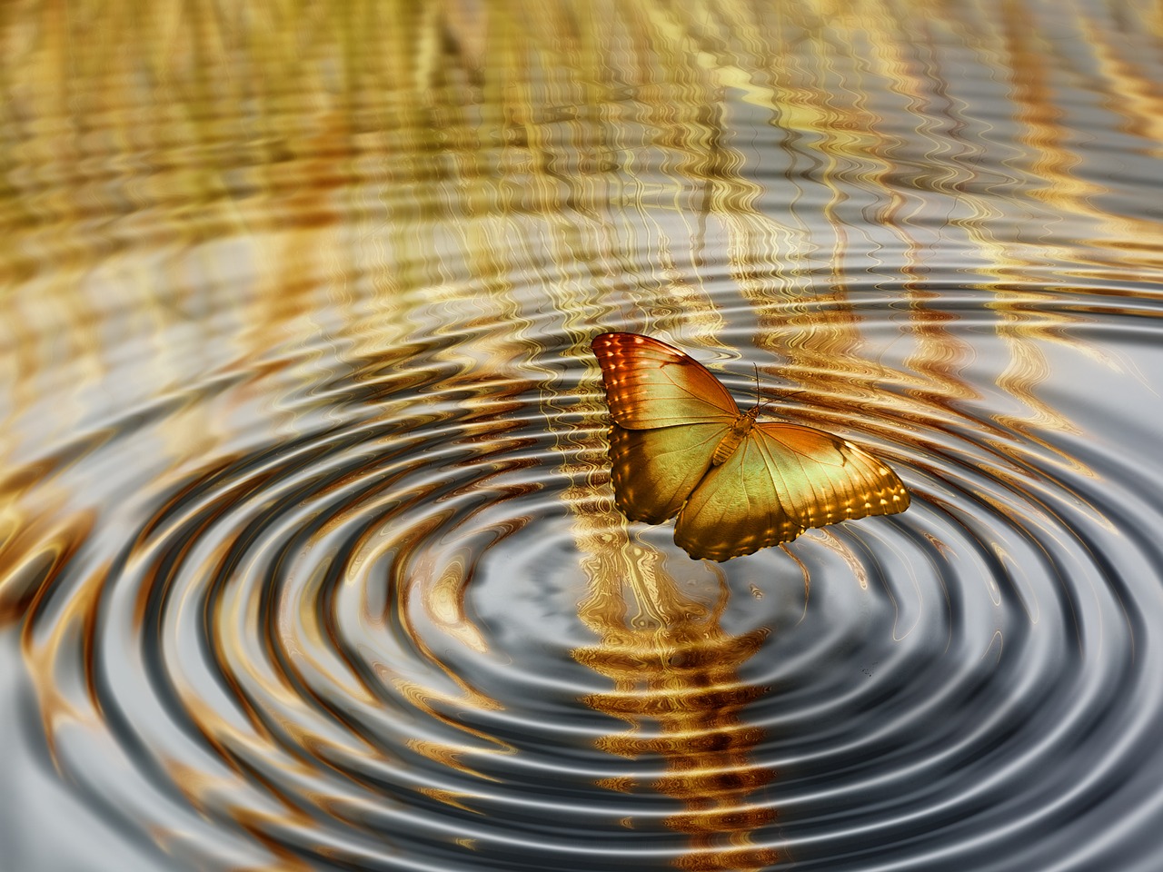 林州郭晓刚最新动态,持续引领未来,塑造新篇章