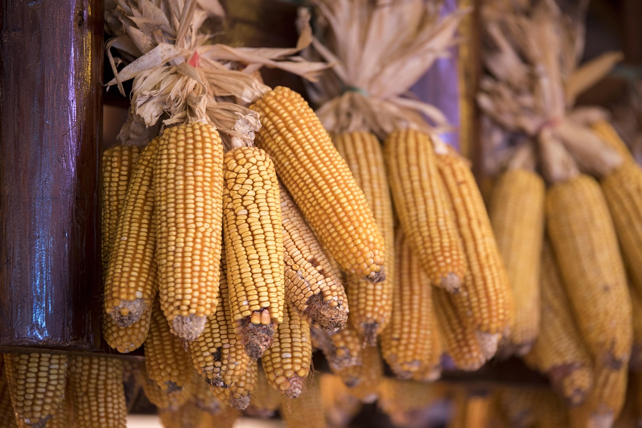 山东国企改革迈向高质量发展新征程的最新动态