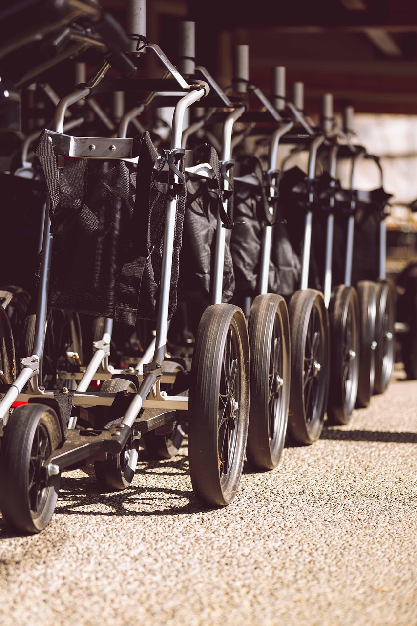 全球疫情动态更新,防控进展与挑战的透视