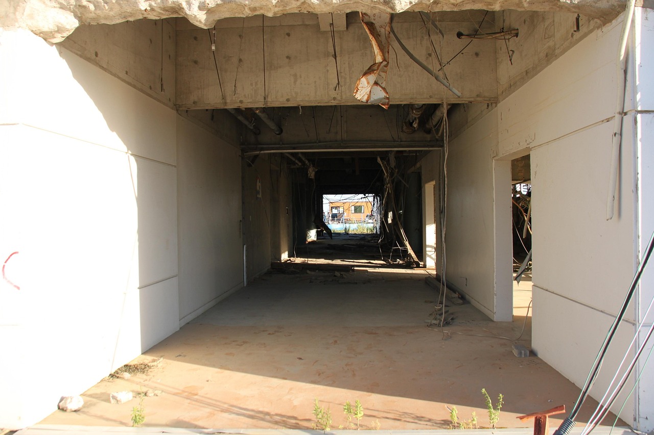 日本今日地震最新动态,影响及启示