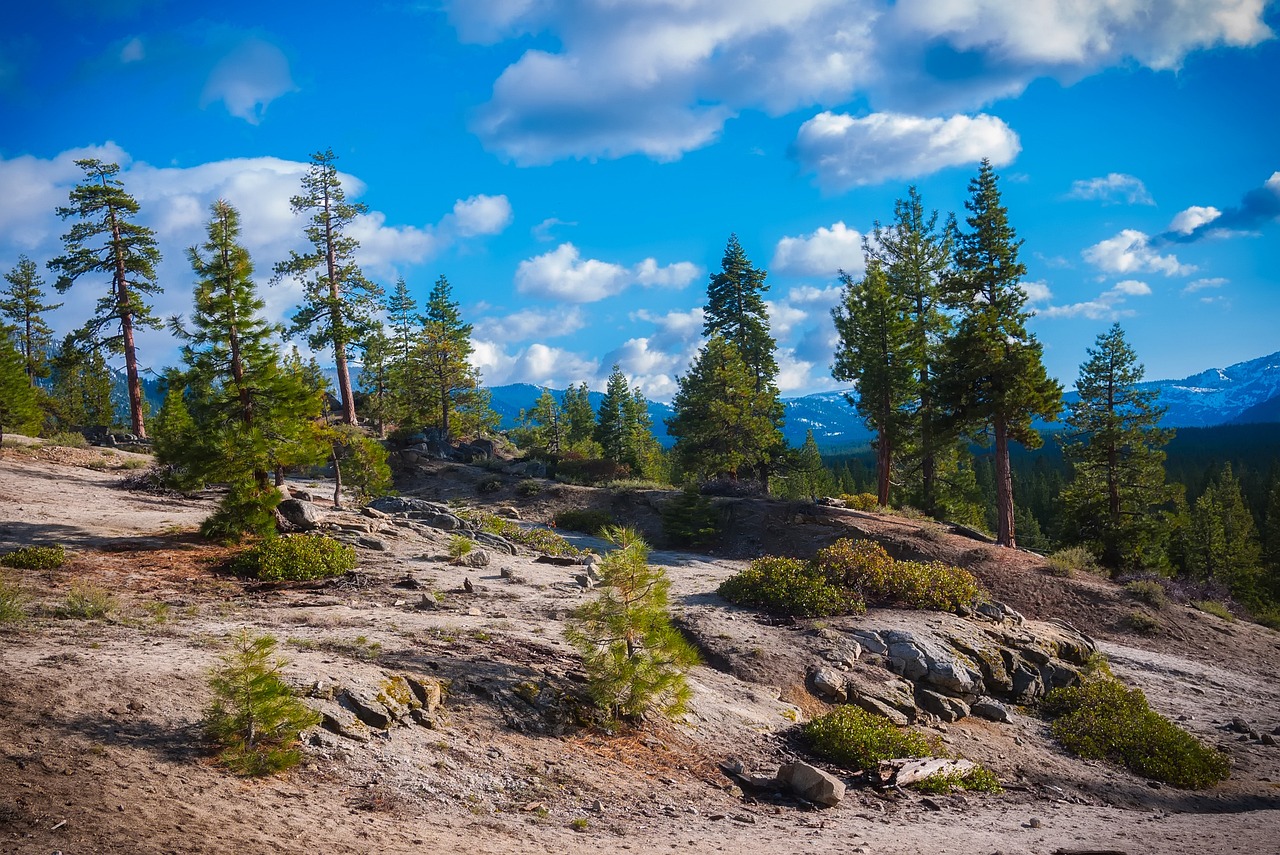 2016年南京地区H7N9疫情最新动态分析报告