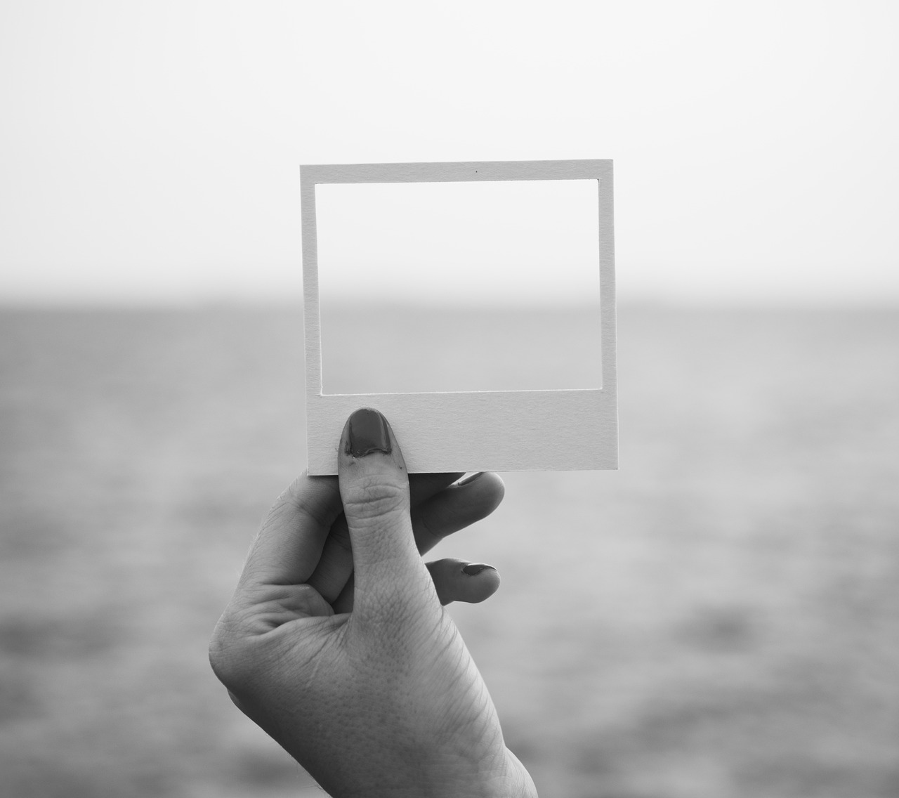 夏倾月新作,探索文学未知的魅力