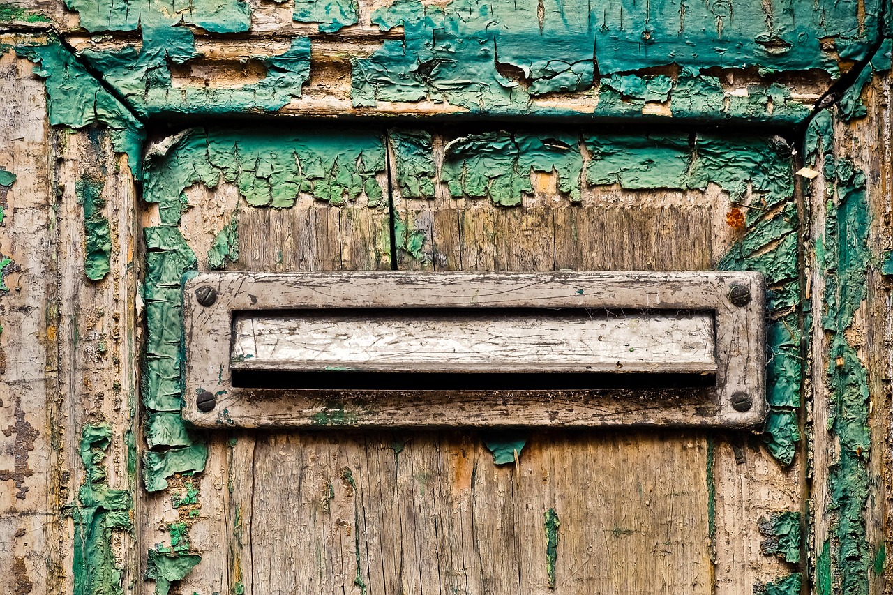 橡木门价格全面解析,购买建议与价格因素探讨,一套橡木门多少钱?