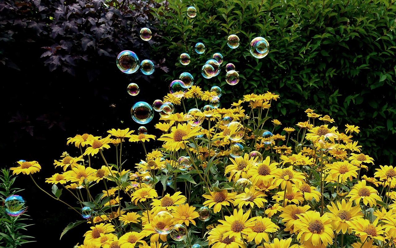 连江县最新逃犯信息解析及追捕动态