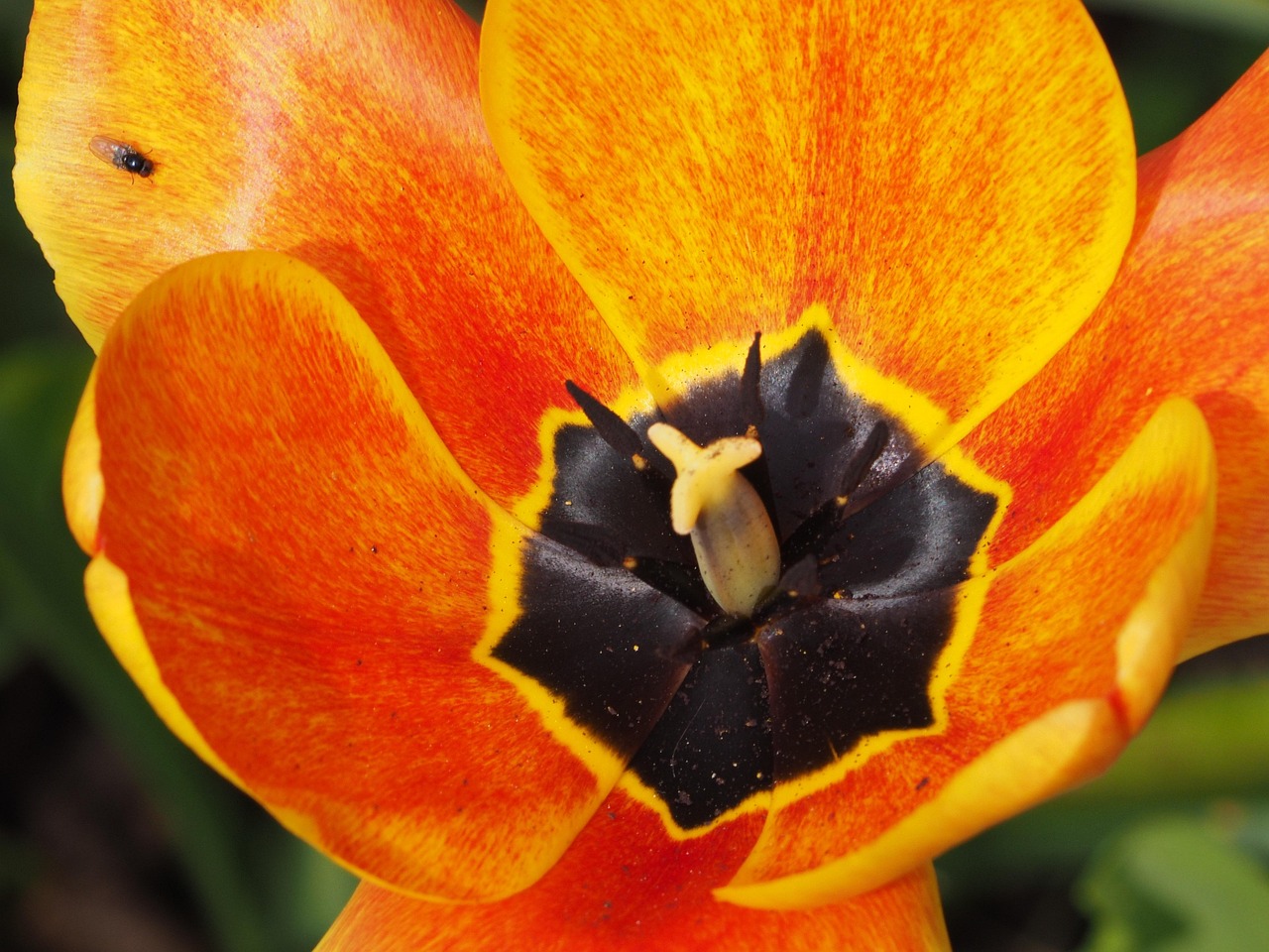 田静最新动态,未来探索步伐不停歇