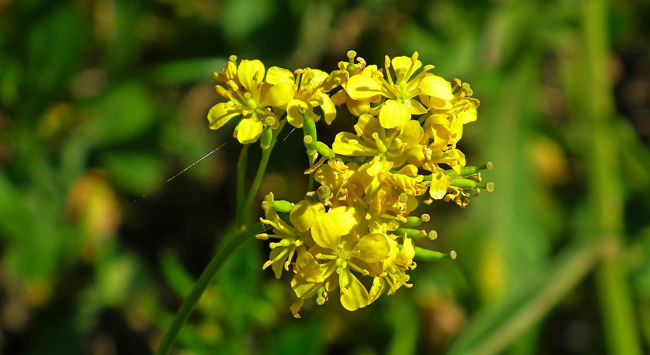 燕港美域最新动态,城市发展与生活美学融合新篇章