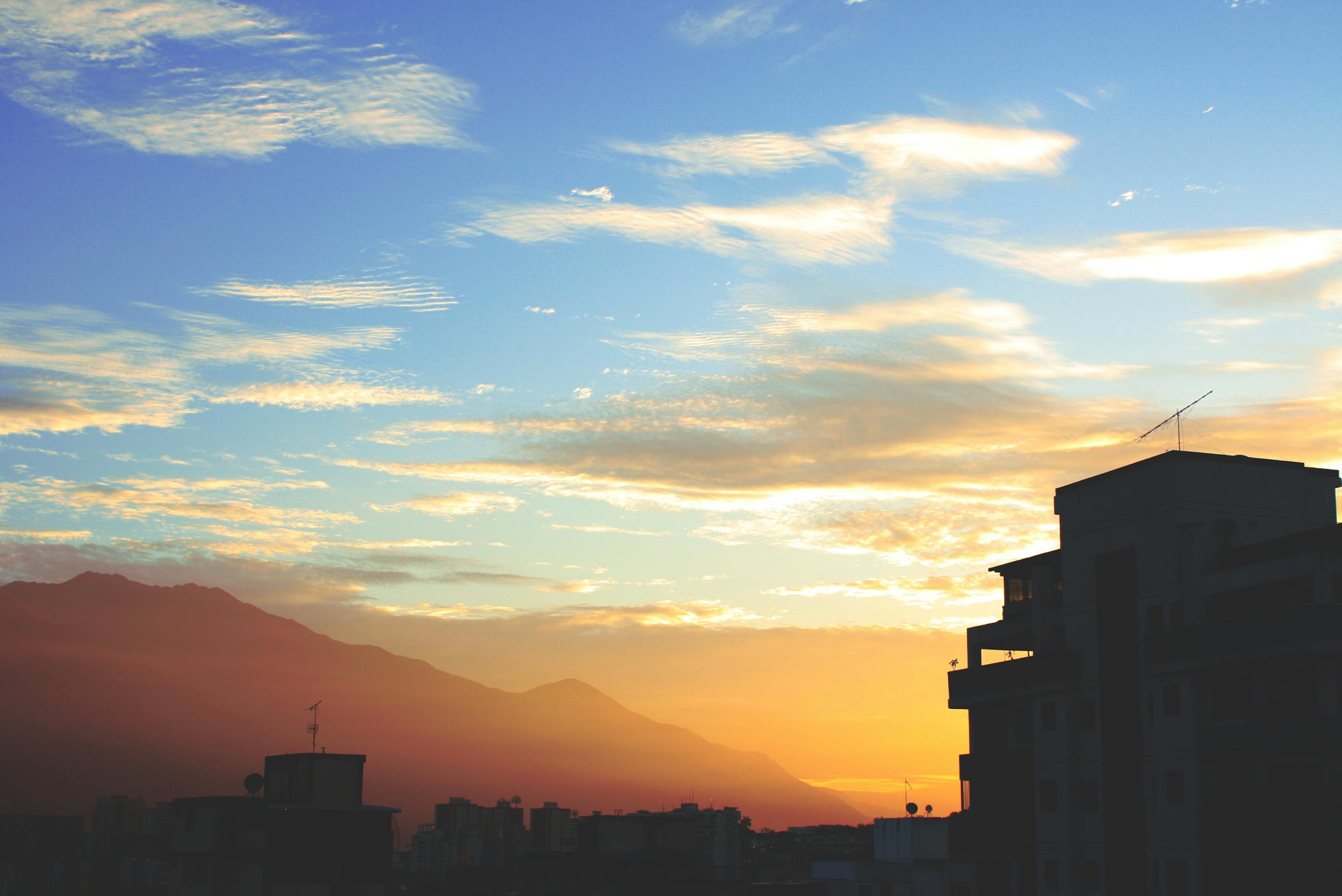 花朵之蓝。 第15页