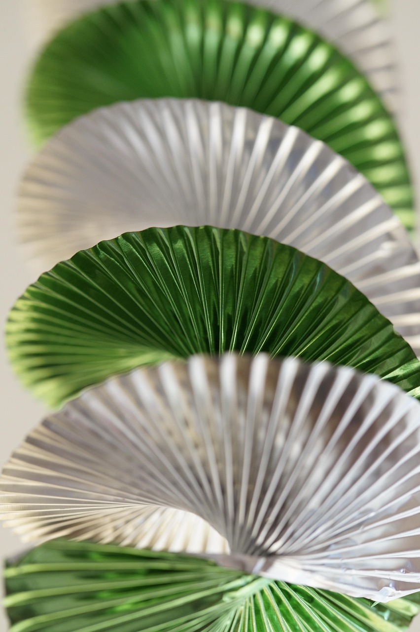 石家庄东四环动态资讯概览,最新资讯与进展