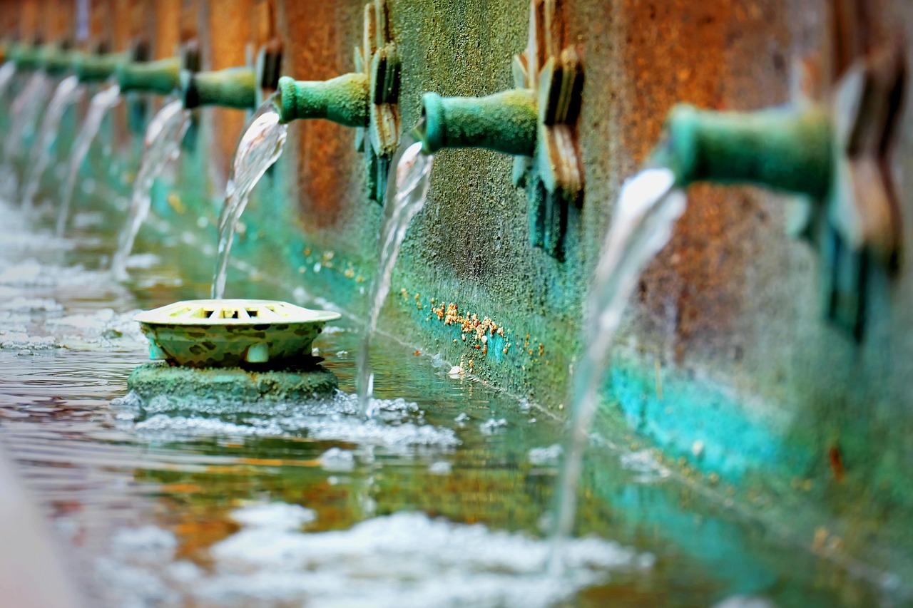 邮市最新动态,行业变革与趋势分析