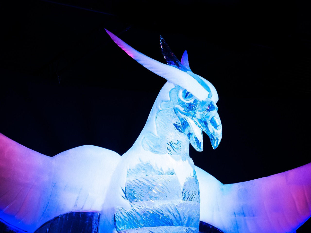 杨先生新动态,展现时代风采,引领潮流之巅