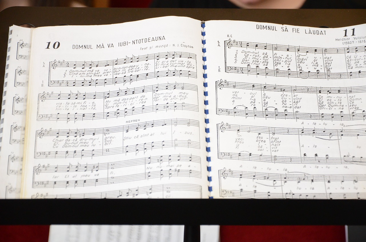 新歌声第二季最新动态,青春旋律再度奏响