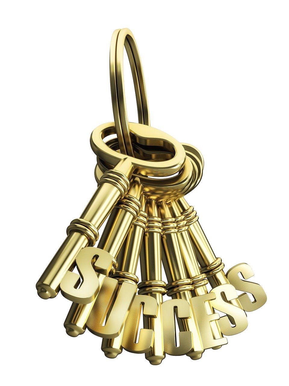 无锡香槟街,繁荣脉搏与发展魅力最新动态