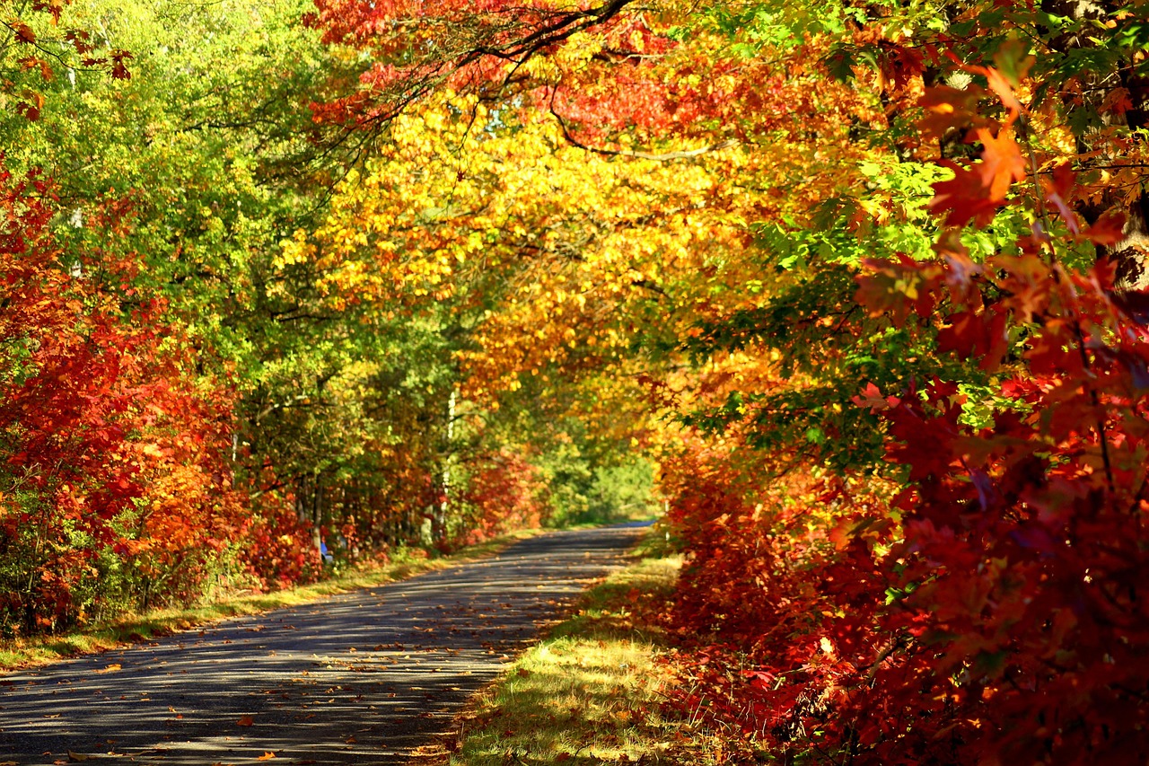 曹县金座最新动态,揭开地区发展新篇章,洞悉发展前沿资讯
