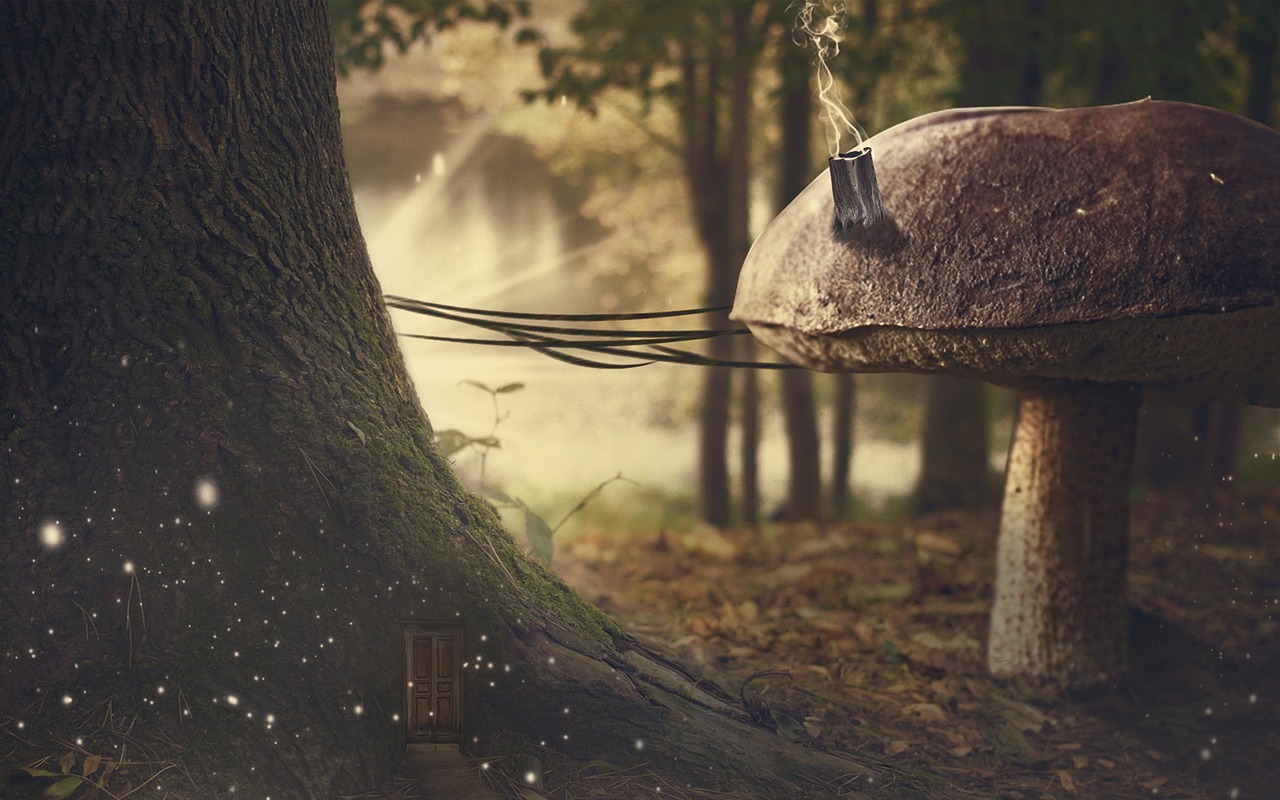 电影风暴之门,探索真实与虚幻的界限