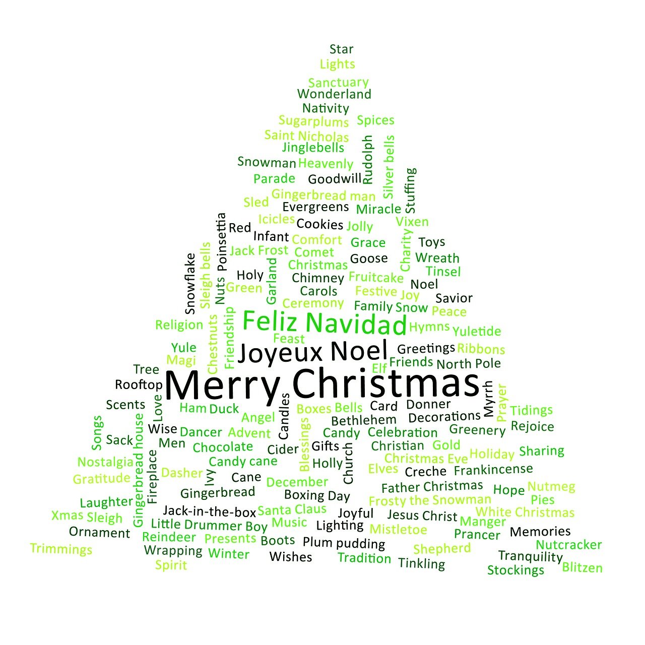 背单词比赛,挑战自我,激发潜能的英语词汇竞赛