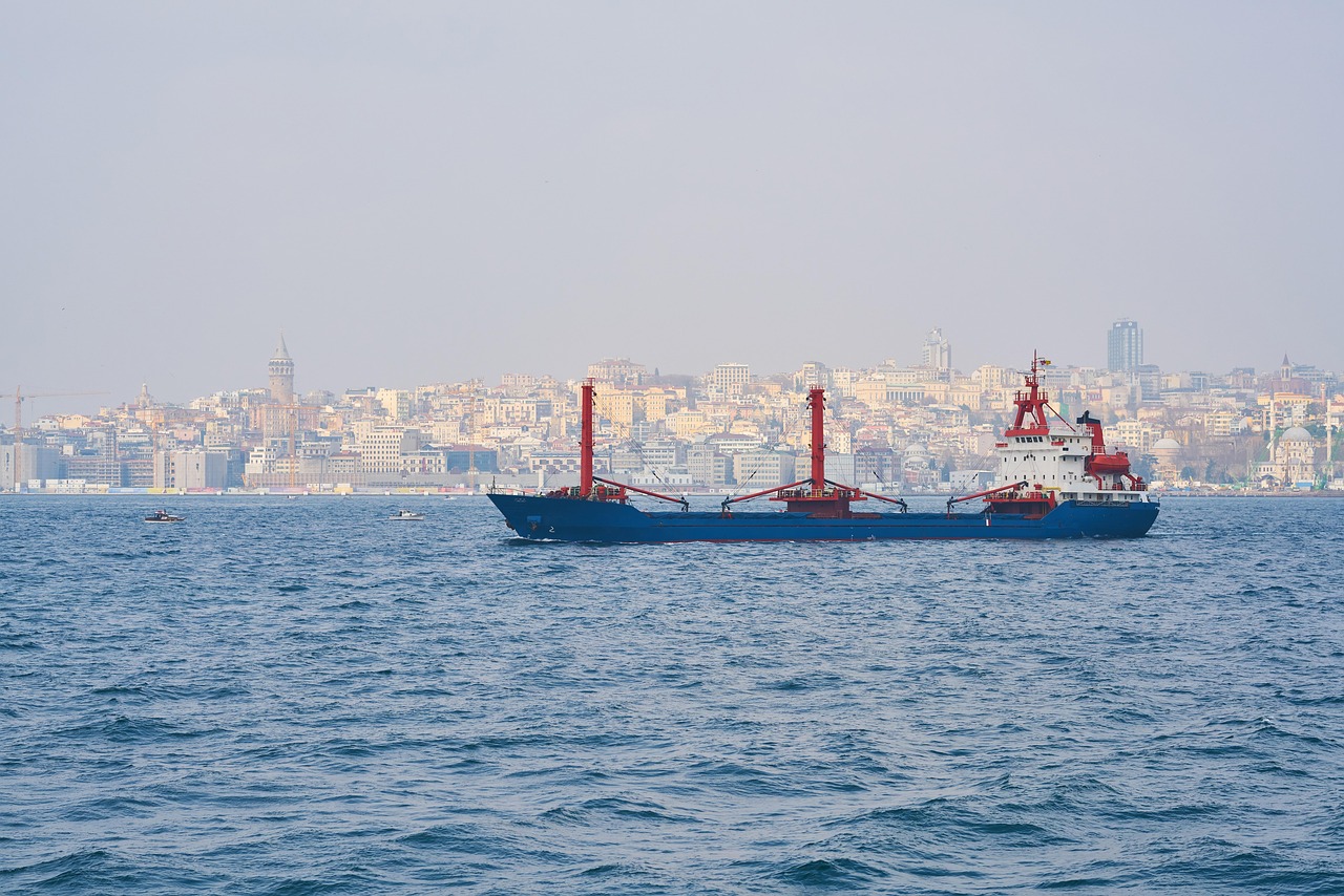 最新车辆船舶税费政策解析及解读