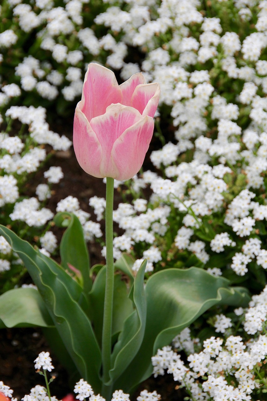 瑶海区合钢最新动态,转型升级与绿色发展双轮驱动进展报告