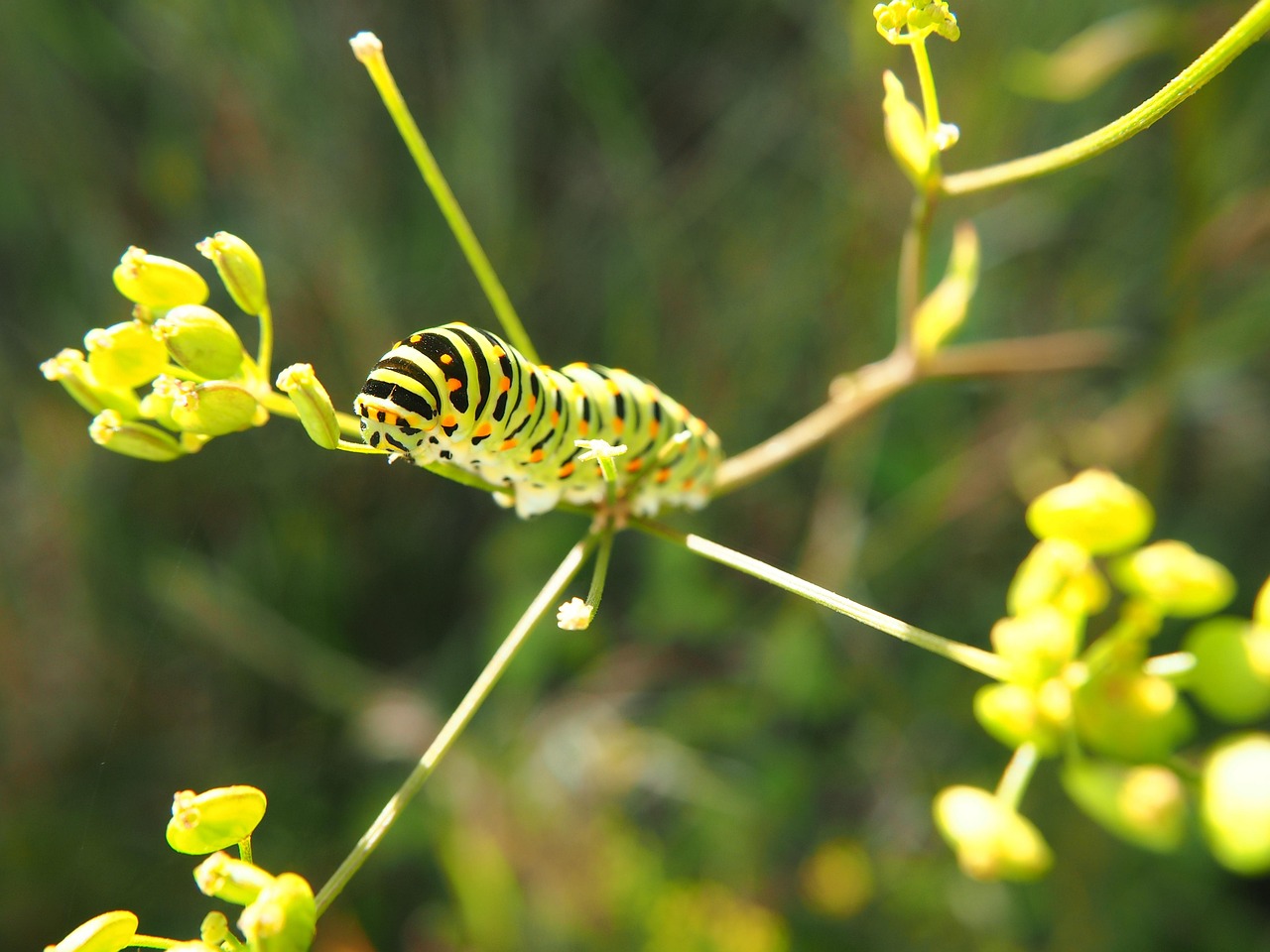 瑶海区合钢最新动态,转型升级与绿色发展双轮驱动进展报告