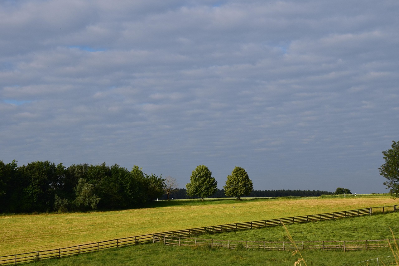 回龙观北四村最新资讯概览,最新动态一网打尽