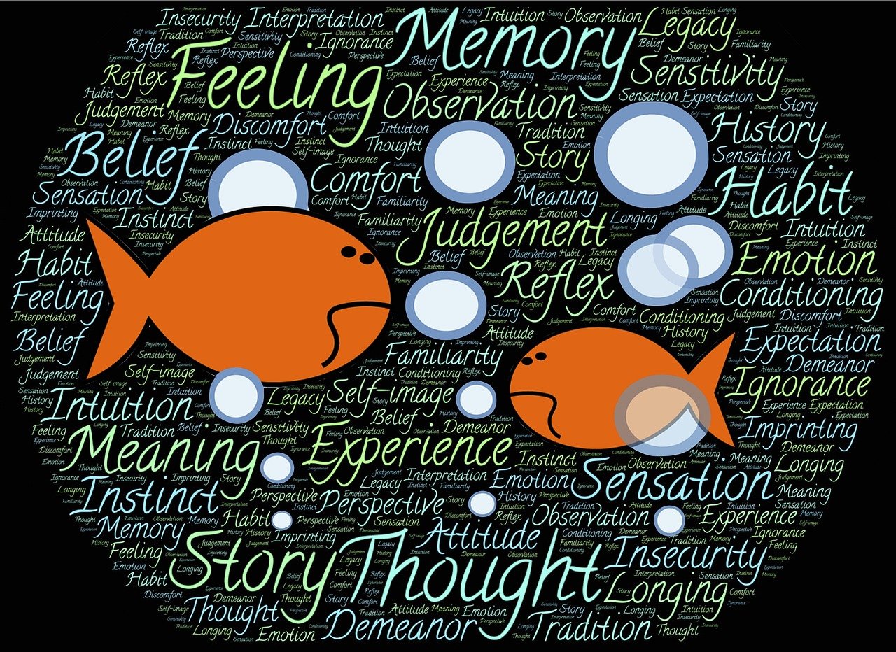 辉哥深度解说,游戏世界与现实生活的交融之道