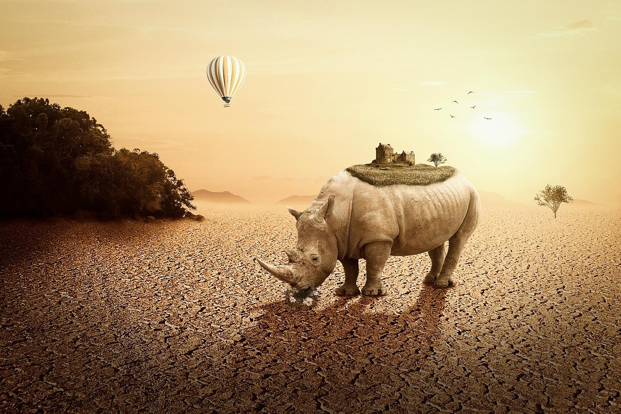 招远兼职信息最新职位全面解析与招聘动态更新