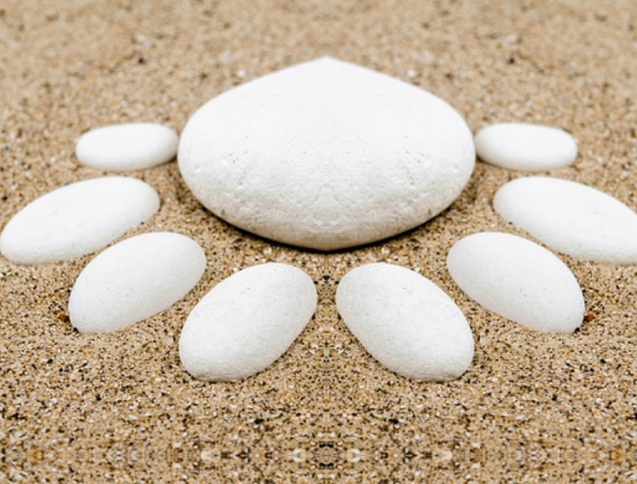 新泰新汶地区最新职位招聘动态更新