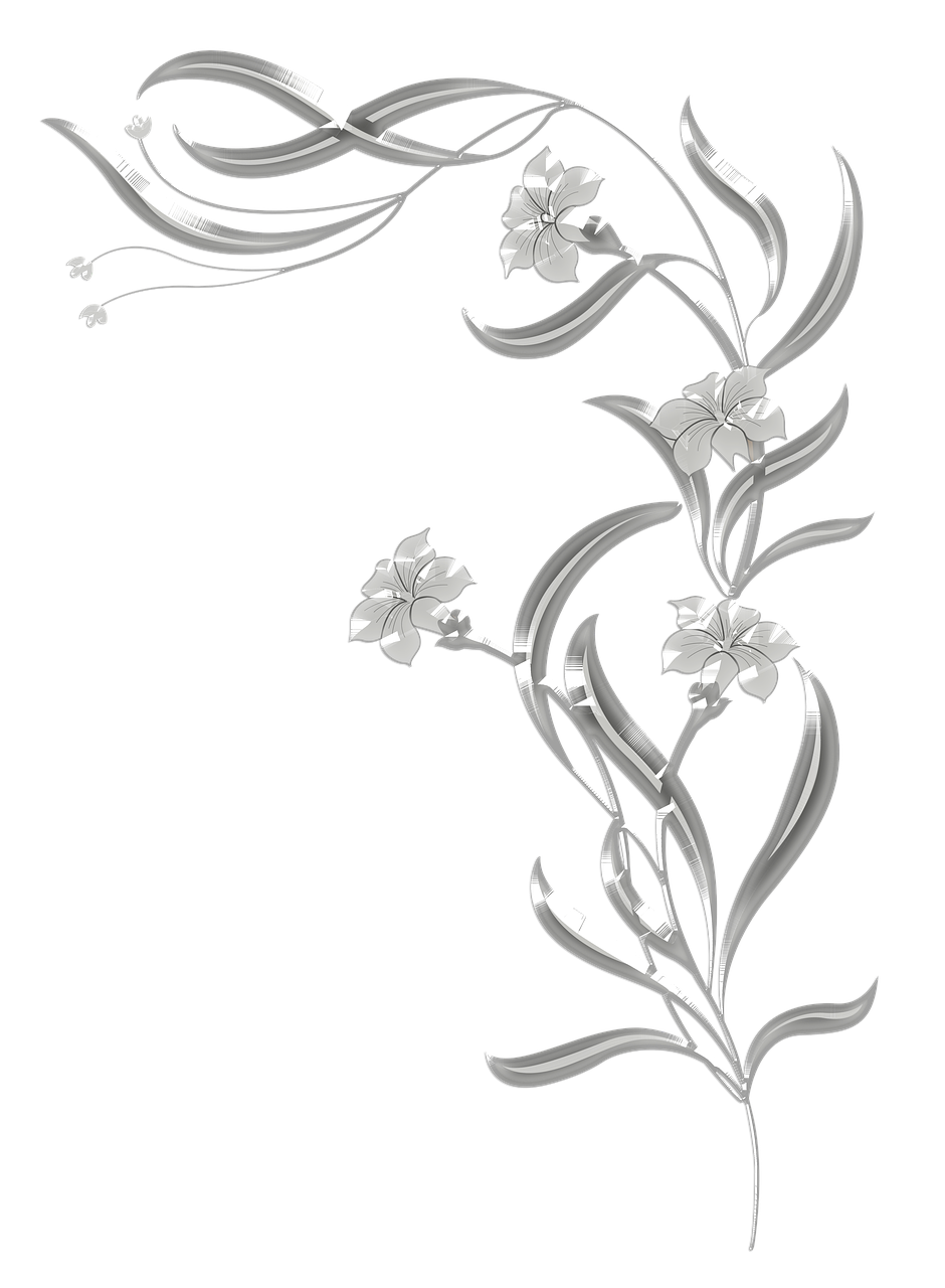 蝴蝶兰电视剧,绽放的艺术之花之美谈