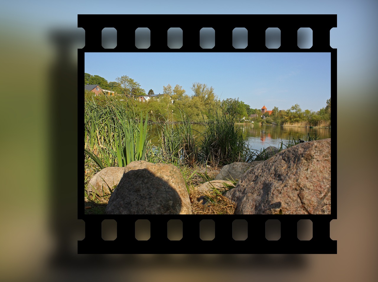 最新电影推荐大全