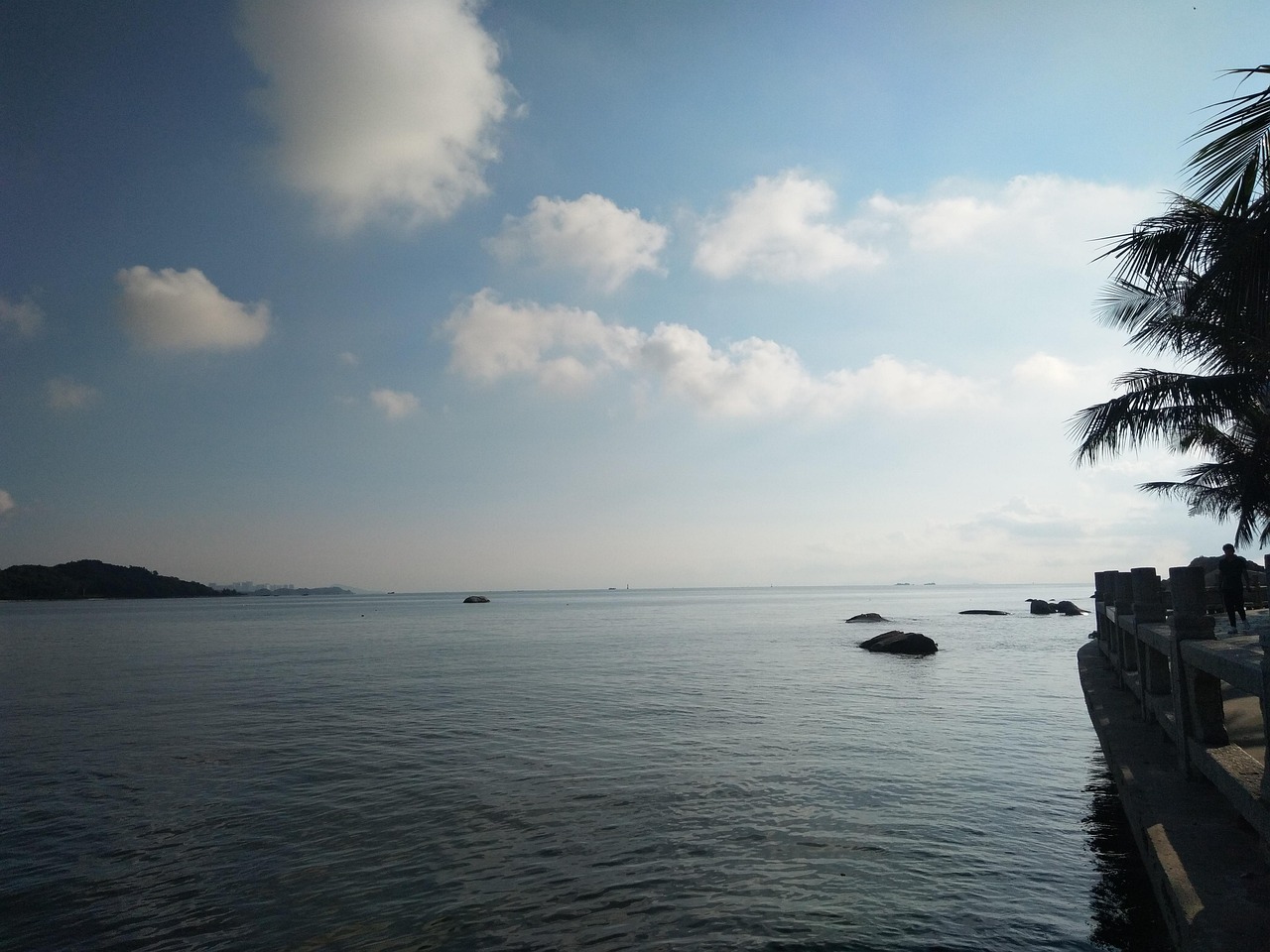 辽宁自贸区最新动态,创新发展前沿阵地持续引领区域发展