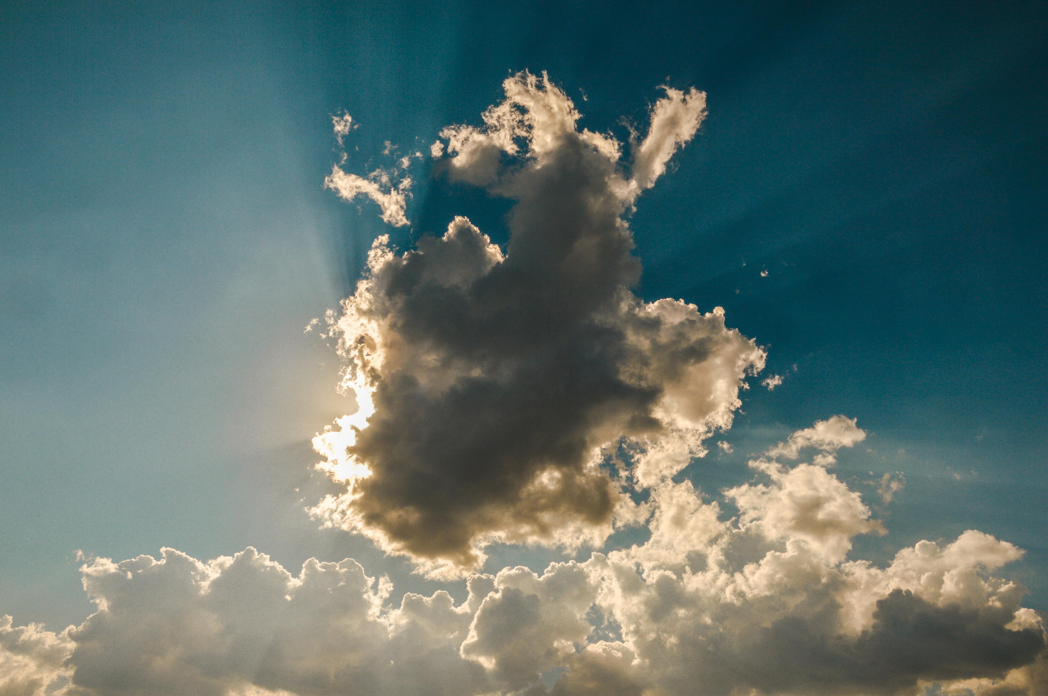 上海最新气温预报,气象变化及应对策略