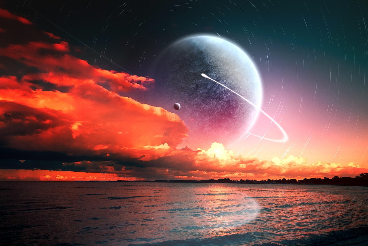 小麦价格网,洞悉市场动态,领航行业未来