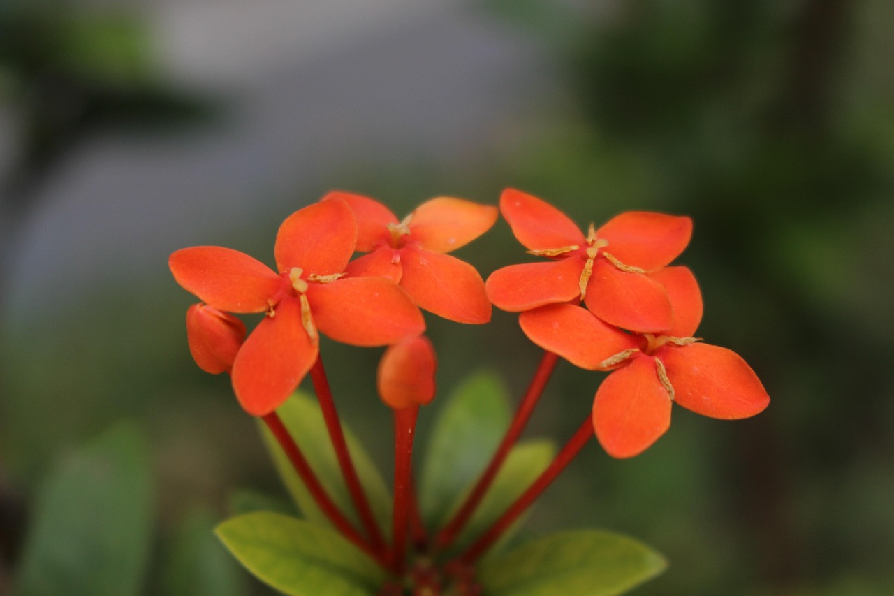 山西环保厅推动绿色转型,共建美丽山西的最新动态