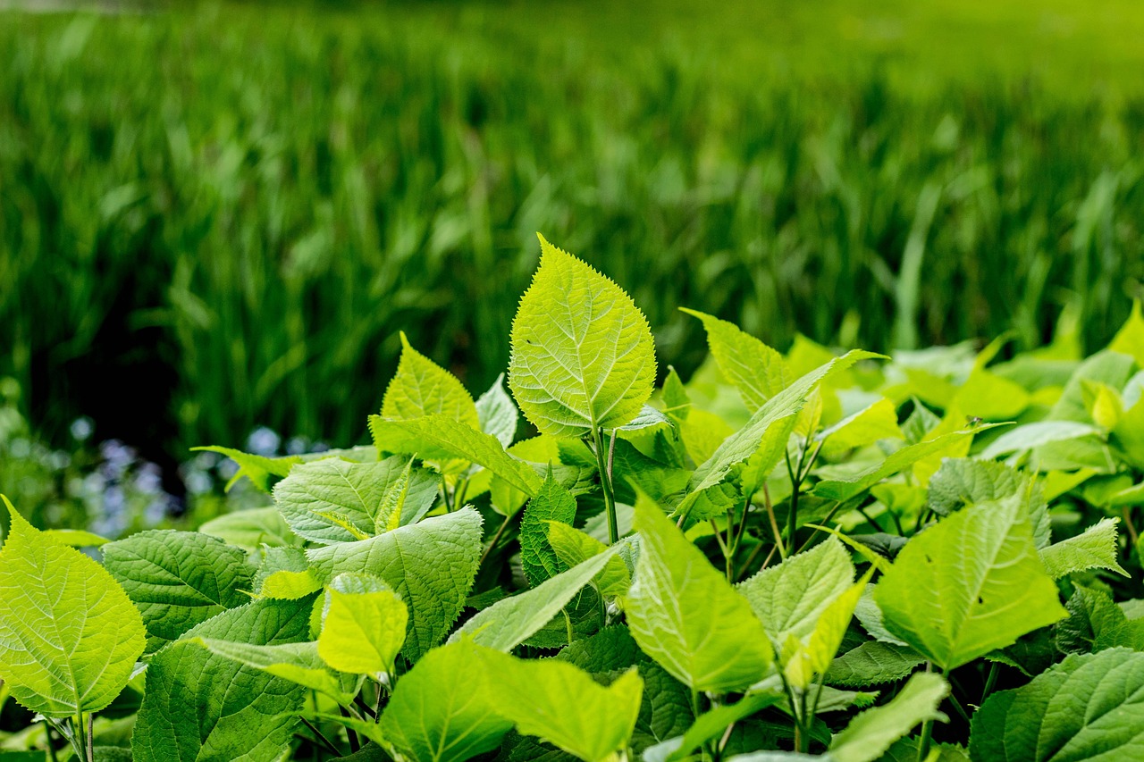 阳信新鲜资讯,探索新时代的脉搏动态