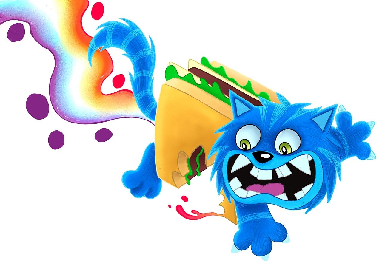 西安猫咪最新动态,繁华都市中的猫族生活展望