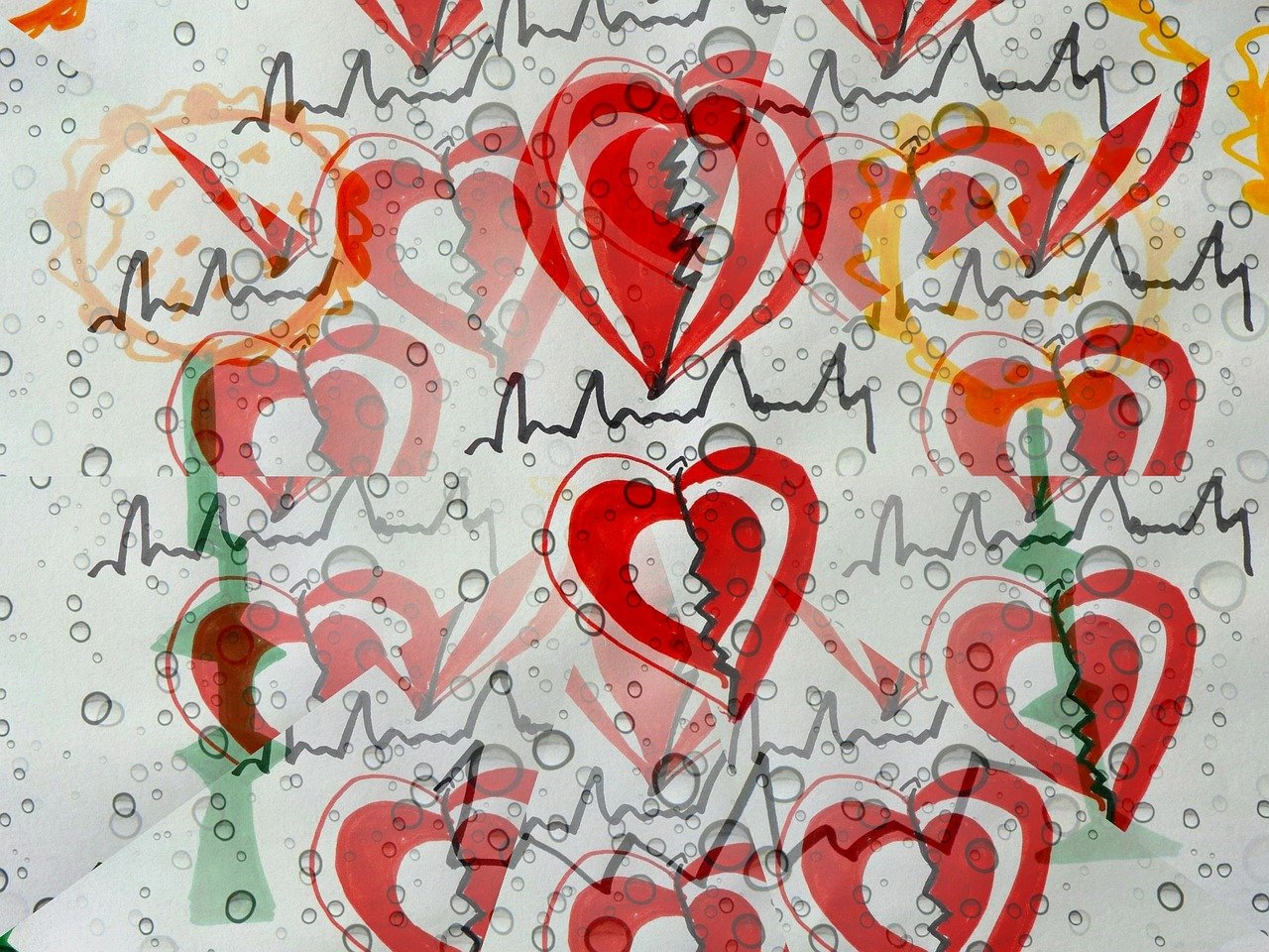 动漫女抱猫头像，文化与情感的完美交织