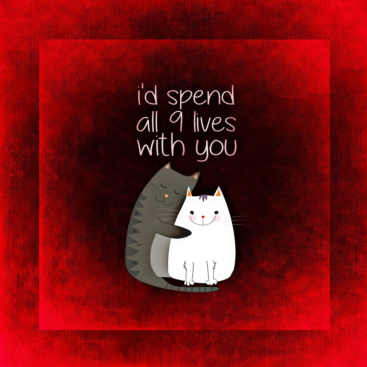 动漫女抱猫头像,文化与情感的完美交织