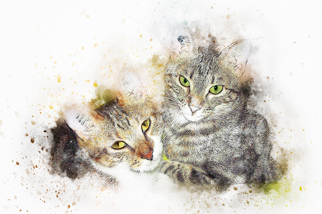 动漫女抱猫头像,文化与情感的完美交织