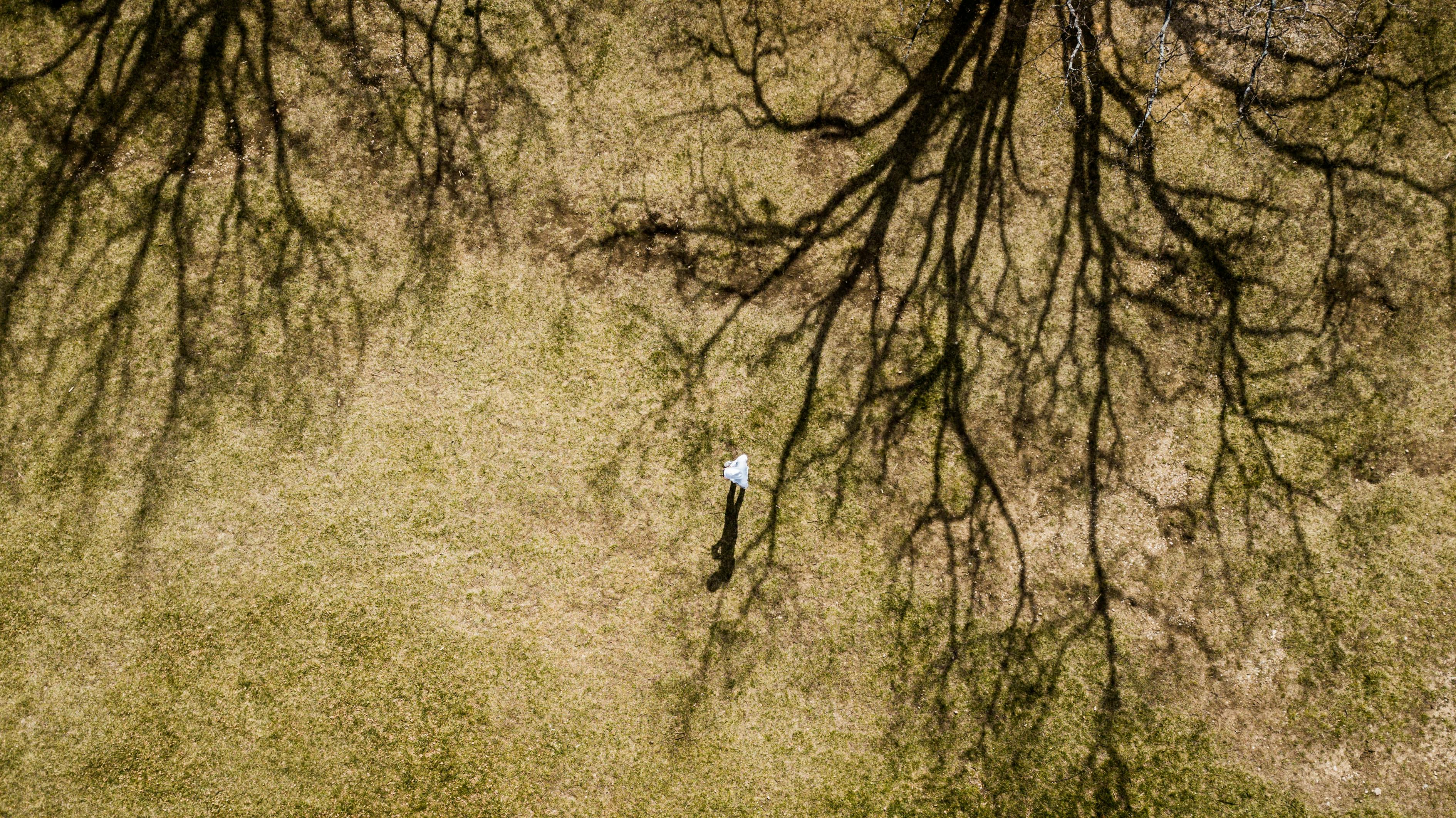 合阳新闻最新资讯视频,实时掌握前沿动态探索